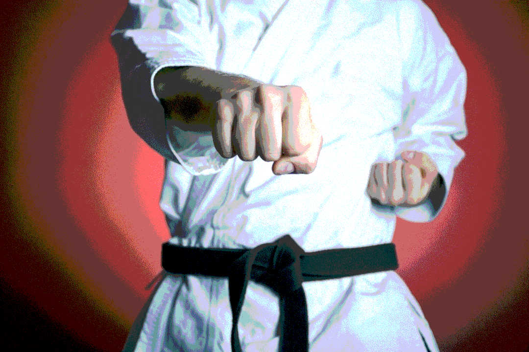 Karate/Kobudo