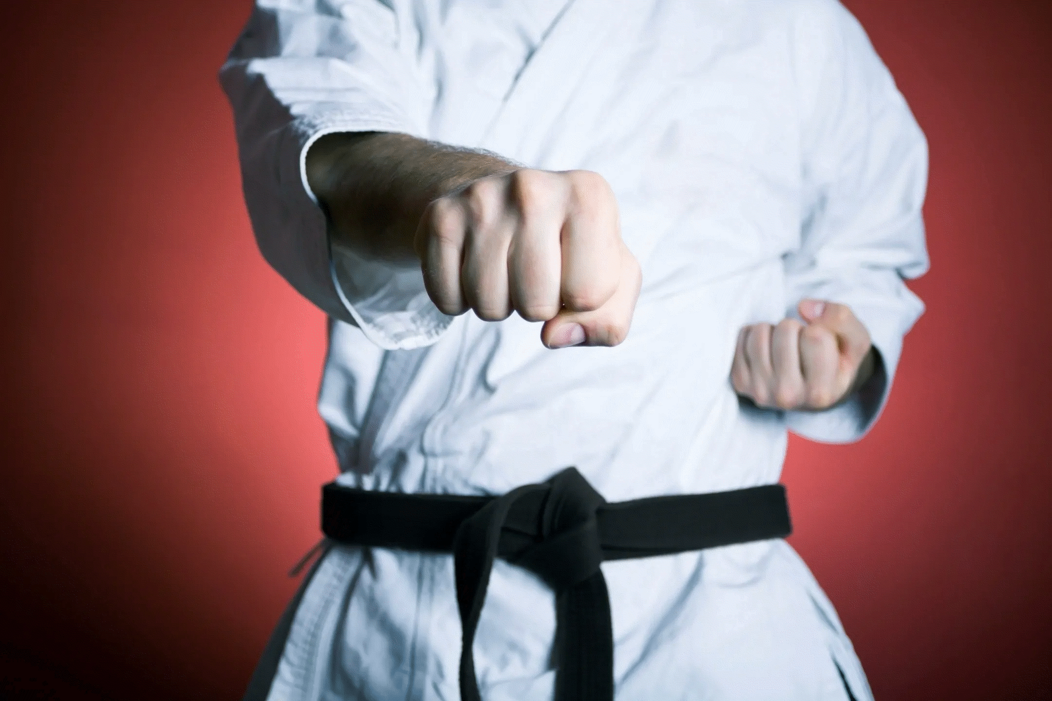 Karate/Kobudo